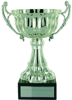 26cm Silver Cup with Handles on Marble