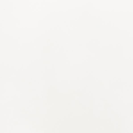 Lacquered White - J4