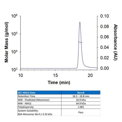 Protein, Recombinant Human IFN-gamma Protein, CF, 100 &micro;g