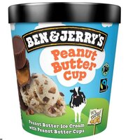 Ice Cream Peanut Butter Ben & Jerry's-(8x465ml)