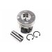 PISTON, PIN & CLIPS - 1.00MM