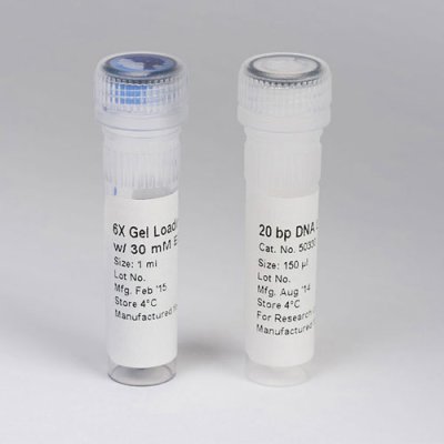 DNA QuantLadder, 100bp - 1,000bp (250ul)