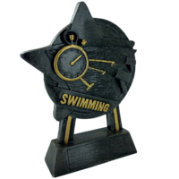 18cm Star Swimming Award (Ant Silver & Gold)