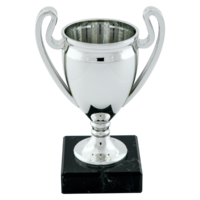 23cm Plastic Euro Cup on Black Marble