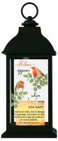 Lantern/Robin Near You/Led Candle  (84678)