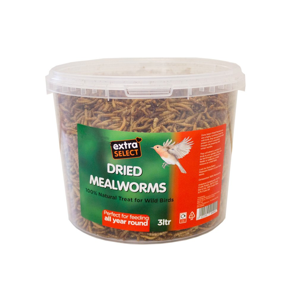 Extra Select Dried Mealworms Wild Bird Treat 3ltr
