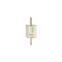 OFAF2AM100 ABB 100A Din Fuse Am Size Nh2 Fuse 500V 1SCA022697R8620