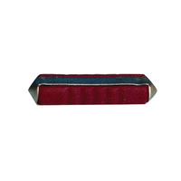 16 Amp Ceramic Fuse