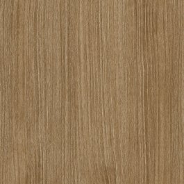 Nutmeg - CT06