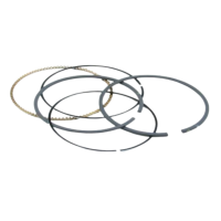 Briggs and Stratton Ring Set