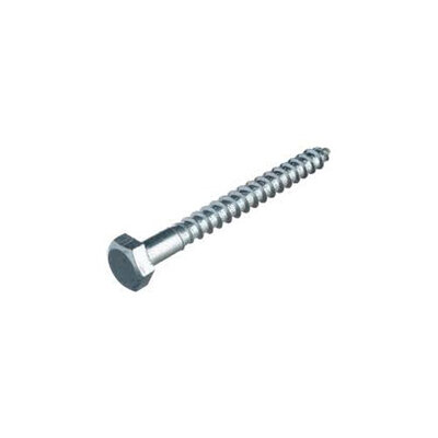 Coach Screws 12 X 100