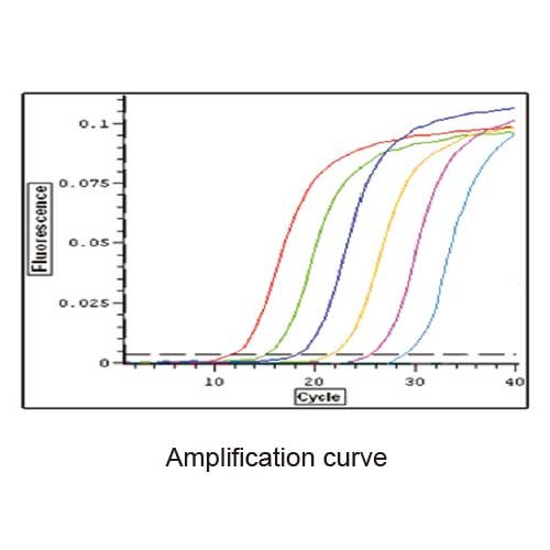RT-qPCR Kit with SYBR-Green, FastKing One Step RT-qPCR, GFP313-01, 50 μl x 50 rxn