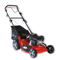 Victor Garden Petrol Self-Propelled Lawnmower (22" Steel Deck)