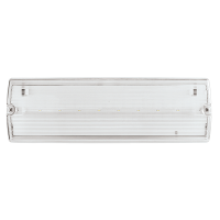 ESP Duceri Emergency Bulkhead 3W LED IP65 Lithium Battery Mainta