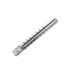 Dentsply Sirona Radix Anker Posts - Long - No:2