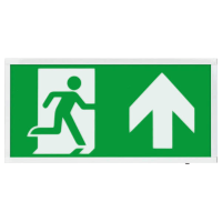 ESP Duceri Emergency Surface Exit Box 3W LED IP20 Up Legend Lith