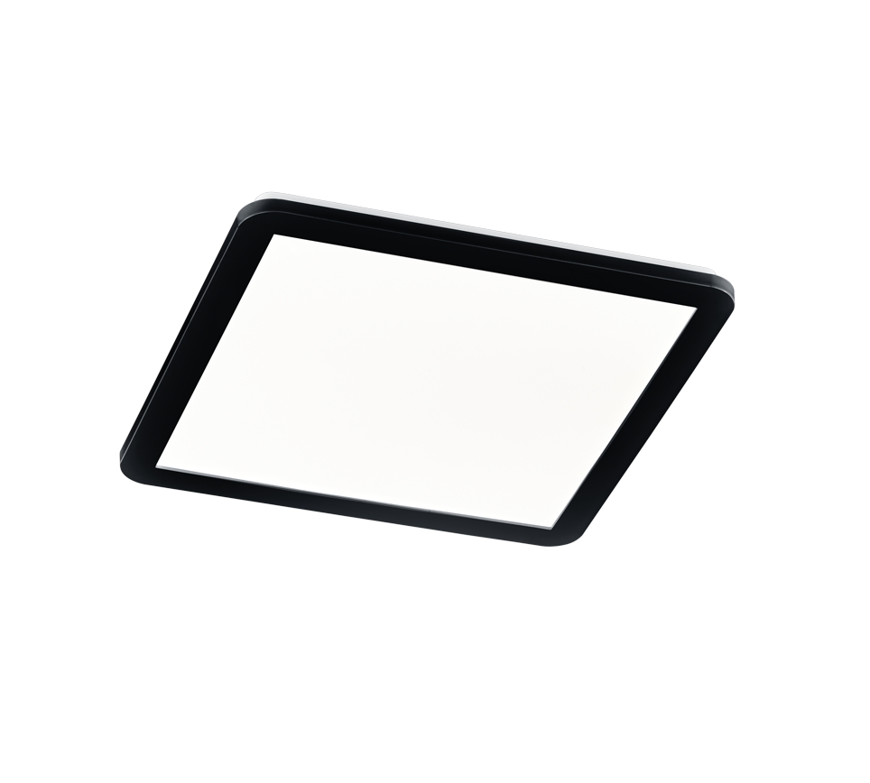 Trio Camillus Matt Black Ceilling Light 40CM