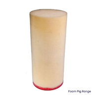 Foam Swabs - 250mm SDR17 Main c/w Drive Plate Hyram