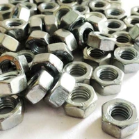 M6 Hex Nuts