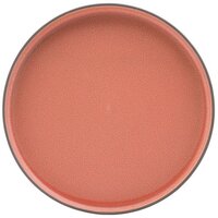 Coral Walled Plate 18.5cm Carton of 6
