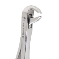 Perfection Plus Eco+ Forceps No. 160