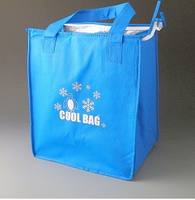 Thermal Insulated cooler bag