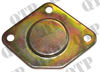 37556148_Power_Steering_Pump_Blanking_Plate.jpg