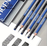 Picasso Charcoal Pencil Set - 12pk