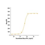 Protein, Recombinant Mouse IFN-gamma Protein, CF, 100 &micro;g