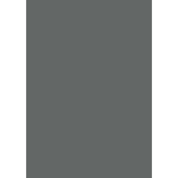 Farrow & Ball Down Pipe Colour Swatch