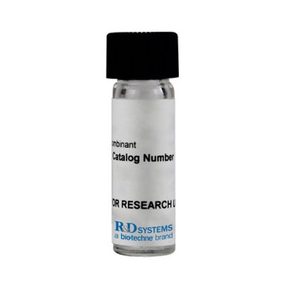 Protein, Recombinant Human MAdCAM-1 Fc Chimera Protein, CF, 50 &micro;g