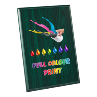 25cm Green Plaque - UV Printed