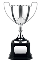 17.5cm Swatkins Replica Nickle Plated Cup