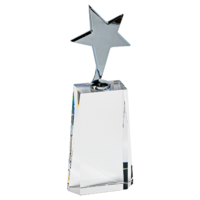 23cm Metal Star on Crystal (Satin Box)