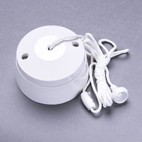 S021 10Amp 2W Pullcord Switch