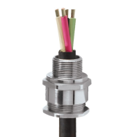 CMP EXe/EXd BRASS A2F GLAND 20SA2F1RA