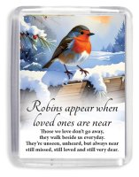 Acrylic Fridge Magnet/Robin Near You  (33586)