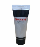 Fevicryl Acrylic Paint 200ml - Silver