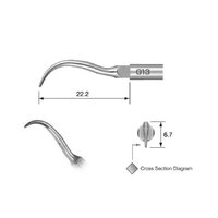 NSK Varios Scaler Tip G13 - DMI Ireland's Leading Dental Supplier - Next Day Delivery