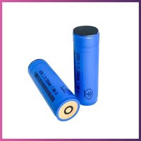Woodpecker Curing Light Battery