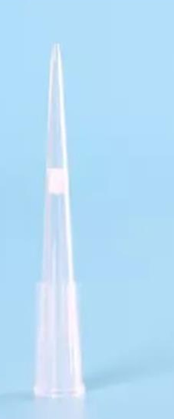 Pipette Tips 20ul (Extended) Filtered Racked ST PK960