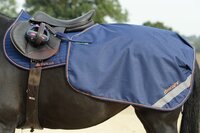 Bucas Therapy Quarter Sheet 145/