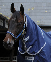 Celtic Combi Neck, 115/XS, Navy