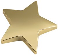 9cm Star Paper Weight (Gold)