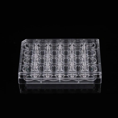 24 Well Glass Bottom Cell Culture Plate,  10mm, TC, sterilized, 1/pk, 10/cs