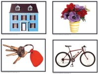 Language Cards - Nouns Everyday