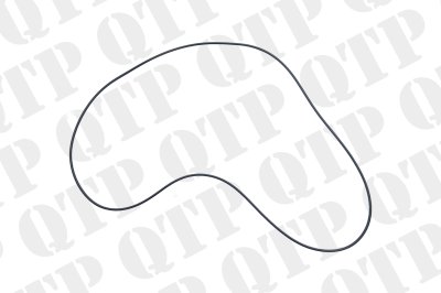 O-Ring Clutch 3011266X1 - Massey Ferguson 5400 5700 