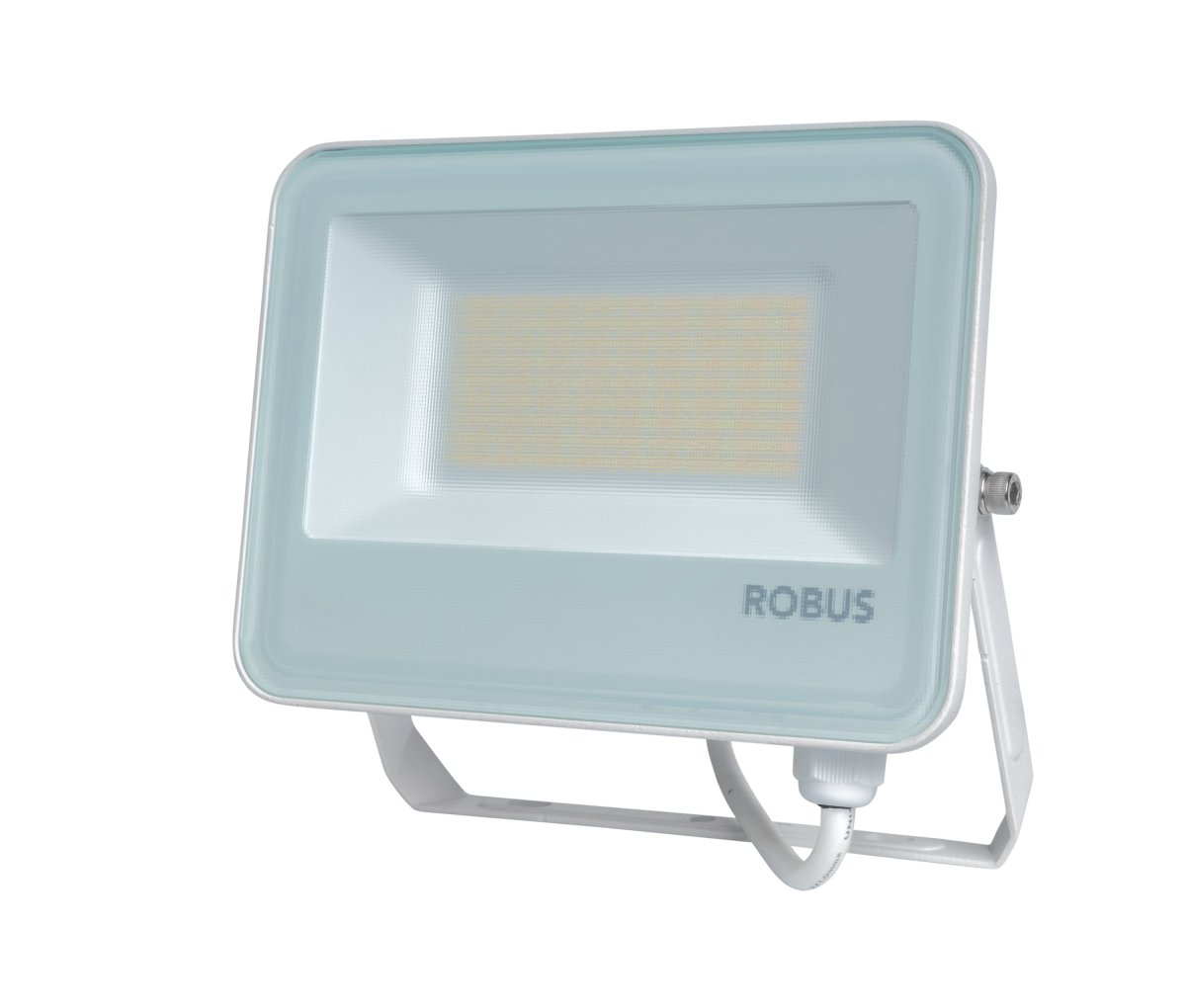 Robus Selest Plus 30W/50W IP65 CCT White Floodlight C/w 1M flex
