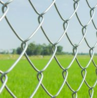 Chainlink & Wire Fence
