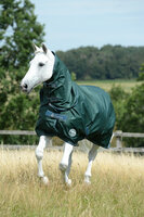 Greenline Neck 155/XL Green